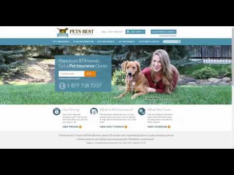 Pet Insurance Reviews Pets Best Pet Insurance Quote Review