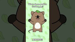 Dancing Quokka!! 🙈 #Happy #Quokka #dancing #character #animation