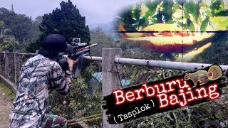 Suara Kaleng Berburu Burung Lagu Mp3 Video Mp4 3gp Waptrick