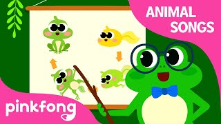 Frog Transformation Dance - Pinkfong