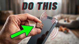 Is Your Dog Barking at Phone Calls? Here&rsquo;s How to Fix It
