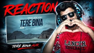 🇵🇰React ON - Tere Bina - AUR (Official Audio)