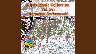 Zmija Otrovnica - Gipsy Music