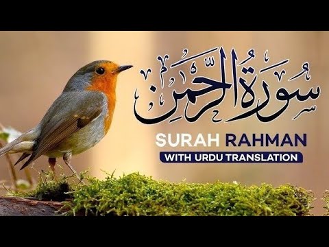 Surah Rahman | beautiful recitation | [CC] with English translation (HD) (4K) | EP : 31