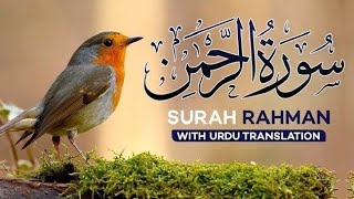 Surah Rahman - القرآن