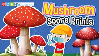 Mushroom Spore Prints