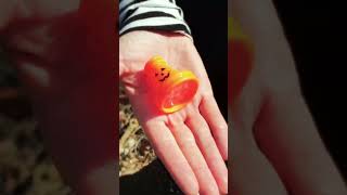 Only Songbirds Have a Sweet Tooth - M&uacute;m
