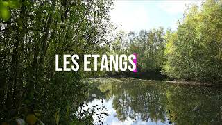 Le Plessis Brion 2021 4K