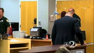 Beach flasher pleads guilty in court