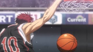 NEWCOMER - Hakai