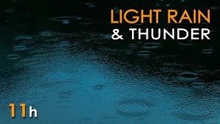 Light Rain, Forest and Thunder Relaxing Sounds - Sound Temple