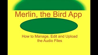Merlin Bird App, "The Audio" - Record, Edit, Isolate, Improve and Upload to your Ebird account