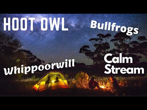 Night Time Soothing Sounds - Bullfrogs, Whippoorwill Bird Sounds, Hoot Owl, Camping, Meditation