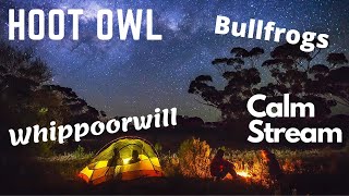 Night Time Soothing Sounds - Bullfrogs, Whippoorwill Bird Sounds, Hoot Owl, Camping, Meditation