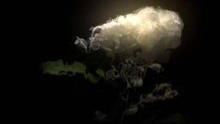 Songbird - Cory Chisel