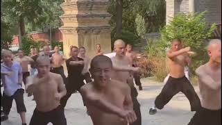 Songshan Shaolin Temple Shi Delong 16
