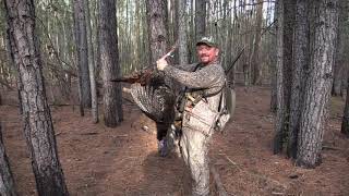 Turkey Hunting Calling App