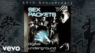 The Humpty Dance (Humpstrumental Mix) - Digital Underground