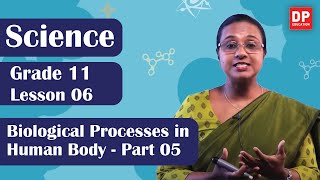 Lesson 06  - Biological Processes in Human Body (Part 05) | Grade 11 Science in English