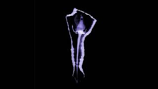 Favorite Ghost - VOMER