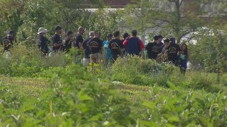 Urban Growers Collective helps South Chicago farm get a makeover, with space for art and culinary ev