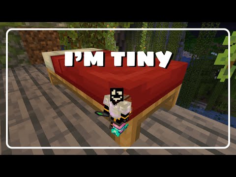 How to make yourself Tiny in  ATM10 - 1.21.1
