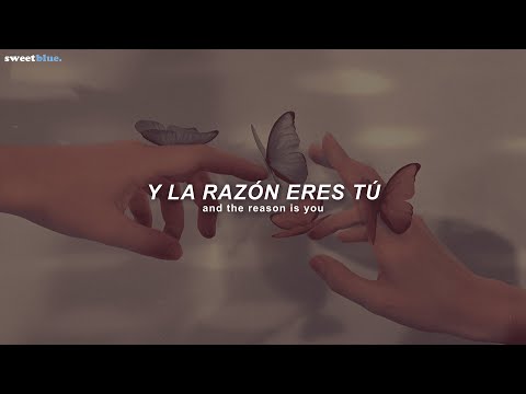 Hoobastank - The Reason (Sub. Espa&ntilde;ol + Lyrics)