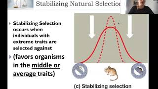 Evolution Graphs Lecture and Problems