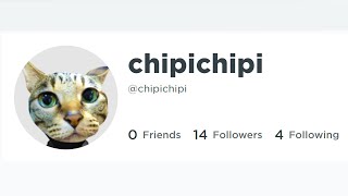 &ldquo;CHIPI CHIPI&rdquo; but roblox usernames