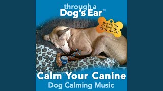 S&eacute;r&eacute;nade, Op. 29 in D Major - Through a Dog's Ear