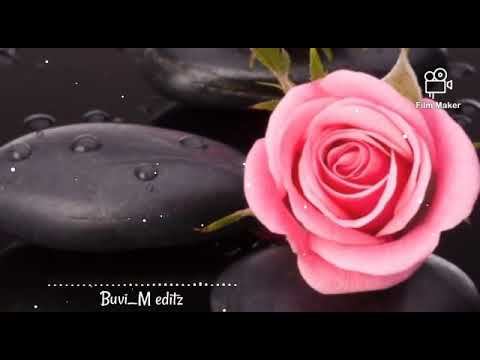 ✨Malare mounama bgm status⚡bgm whatsapp status⚡Malare mounama tamil bgm music whatsapp status ✨