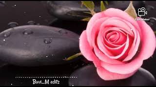 ✨Malare mounama bgm status⚡bgm whatsapp status⚡Malare mounama tamil bgm music whatsapp status ✨
