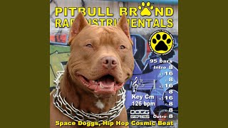 Space Doggs, Hip Hop Cosmic Beat (126 BPM) Cm [Instrumental] - Pitbull Brand Rap Instrumentals