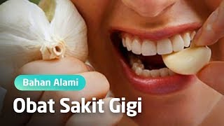 Obat Sakit Gigi Paling Ampuh
