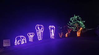 Drive through light show Pittsburgh Zoo. #zoo #pittsburgh #winter #lightshow #amazingshow #drivethru