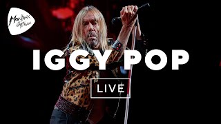 I Wanna Be Your Dog (Live at Montreux Jazz Festival 2023) - Iggy Pop