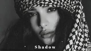 Shadow - Azimov