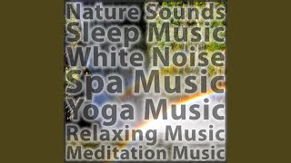 Well Being Sounds of Nature at Night - Healing Summer Nature Sounds and Relaxing Music to Help Tinnitus - Nature Sounds With Music for Meditation, Music for Yoga, White Noise and Music for Sleep and Baby Sleep