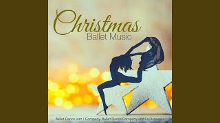Opera Houses - Danse Classique - Ballet Dance Company