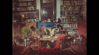 Don't Bring Me Stars - Mojo Morning