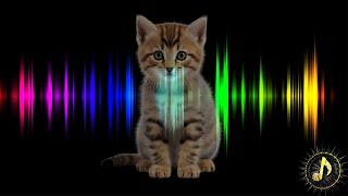 Kittens Meowing- Sound Effects