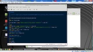 Download Instagram Videos Via Linux Bash Script Example