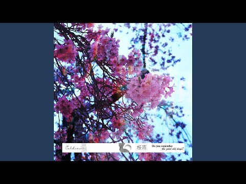 桜雨