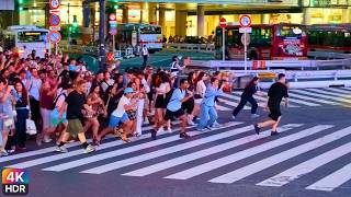 4K HDR🤩上からも下でも大撮影大会！＠ 渋谷スクランブル交差点   2026