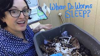 Where Do Worms Sleep? Composting Worms&rsquo; Favorite Bedding Materials