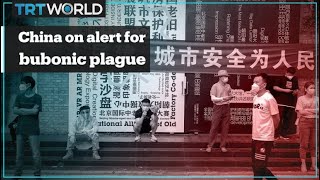 China’s Inner Mongolia is on high alert for bubonic plague
