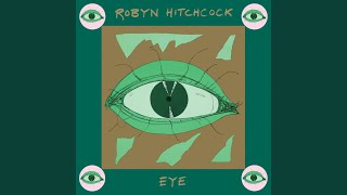 Satellite - Robyn Hitchcock