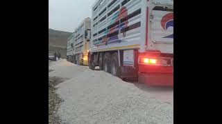 dıla megr&ecirc;n jı ko&ccedil;era