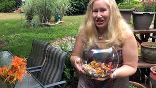 Oven Dried Flowers with Laura