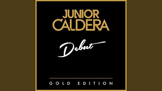 Can't Fight This Feeling (Junior's Moonlight Remix) - Junior Caldera